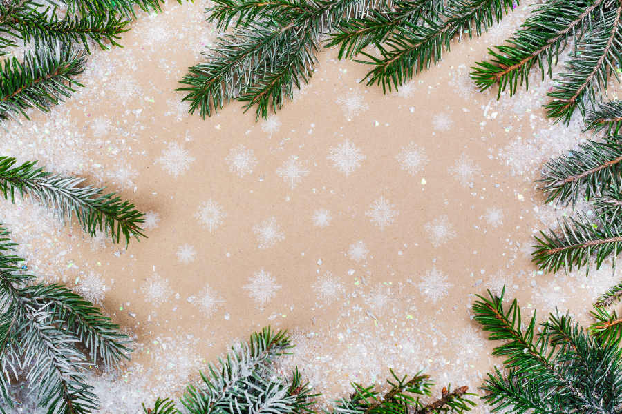 Holiday Reset: Top Wellness Tips to Stay Energized and Balanced This Season