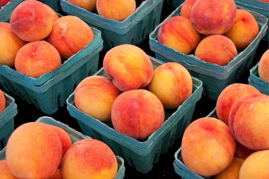 Peach Season Perks: Fresh, Juicy, and Full of Health Benefits