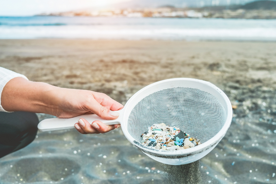 Plastic Pollution: The Dangers of Microplastics