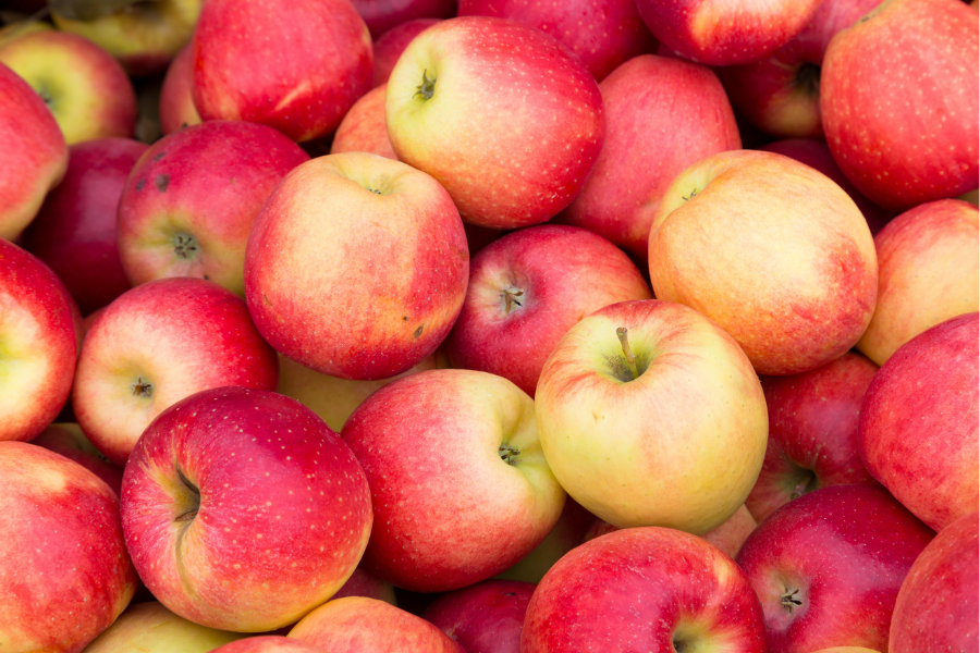 4 Helpful Things for Hormone Detox