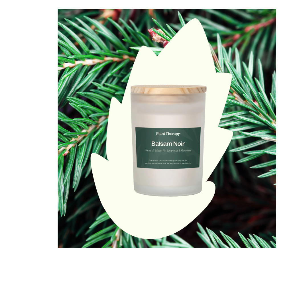 BALSAM NOIR NATURALLY SCENTED CANDLE