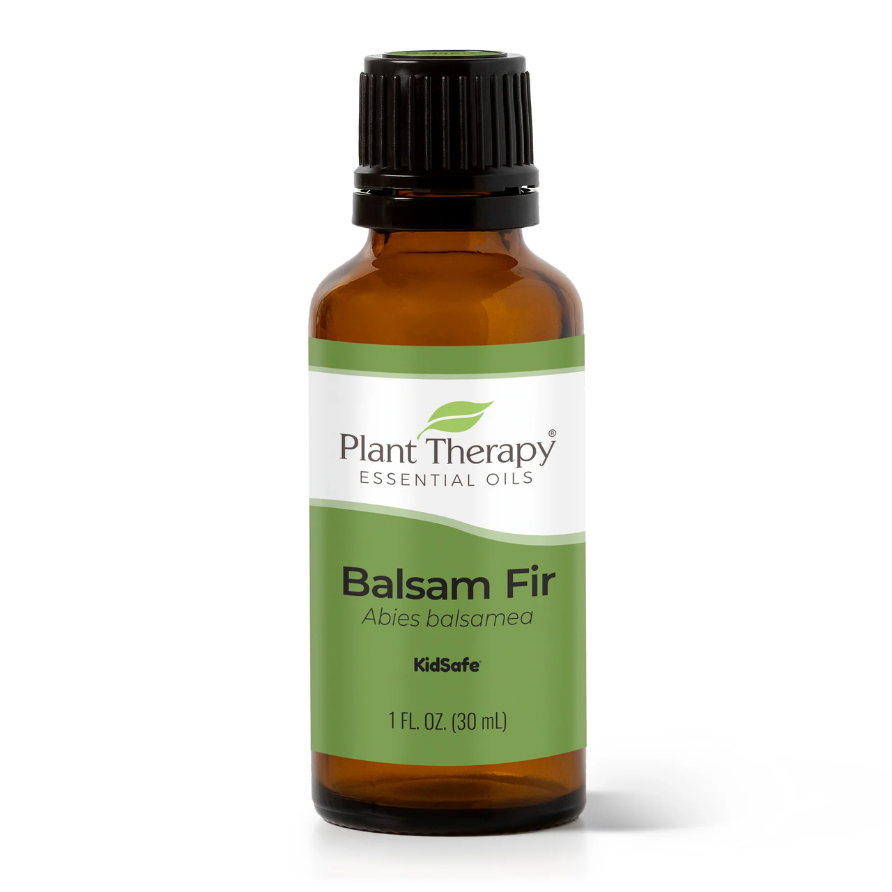Balsam Fir Essential Oil - Plant Therapy