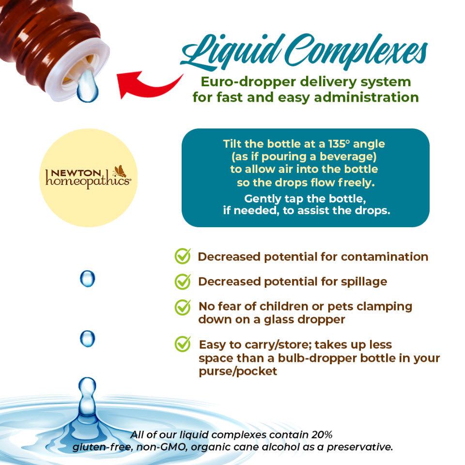Thyroid - Adrenal