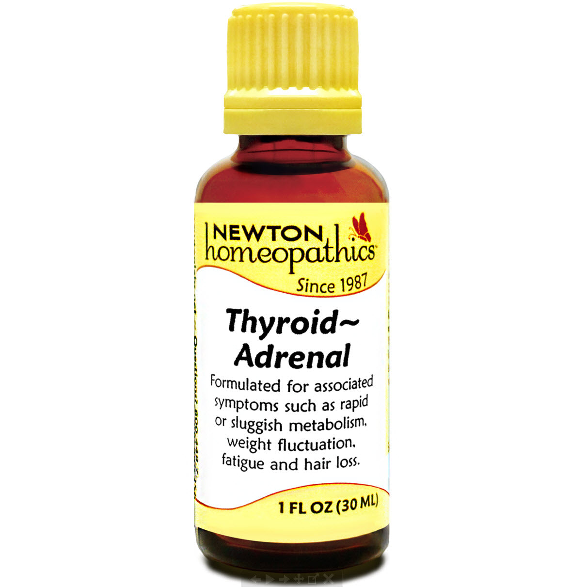 Thyroid - Adrenal