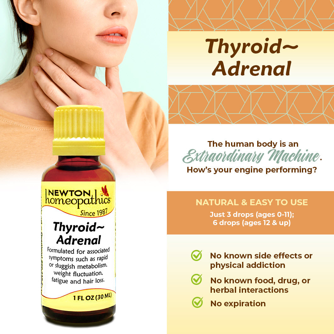 Thyroid - Adrenal