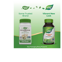 Thumbnail for Feverfew Herb