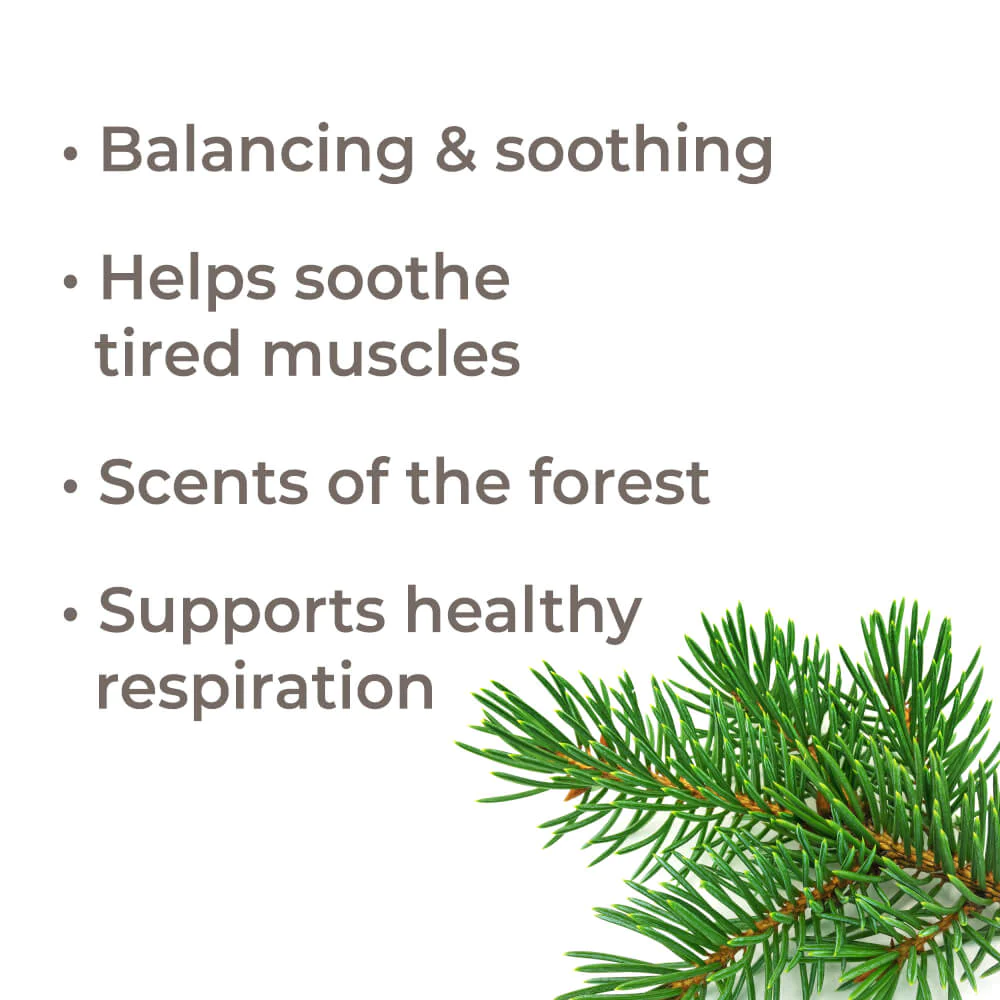 Balsam Fir Essential Oil - Plant Therapy