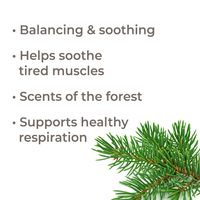 Thumbnail for Balsam Fir Essential Oil - Plant Therapy