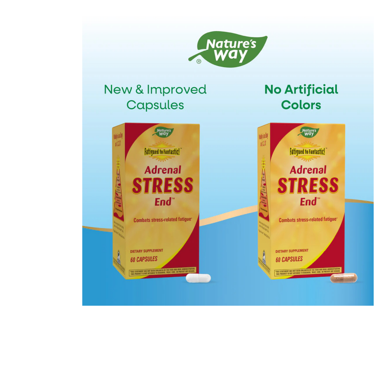 Fatigued to Fantastic! Adrenal Stress-End