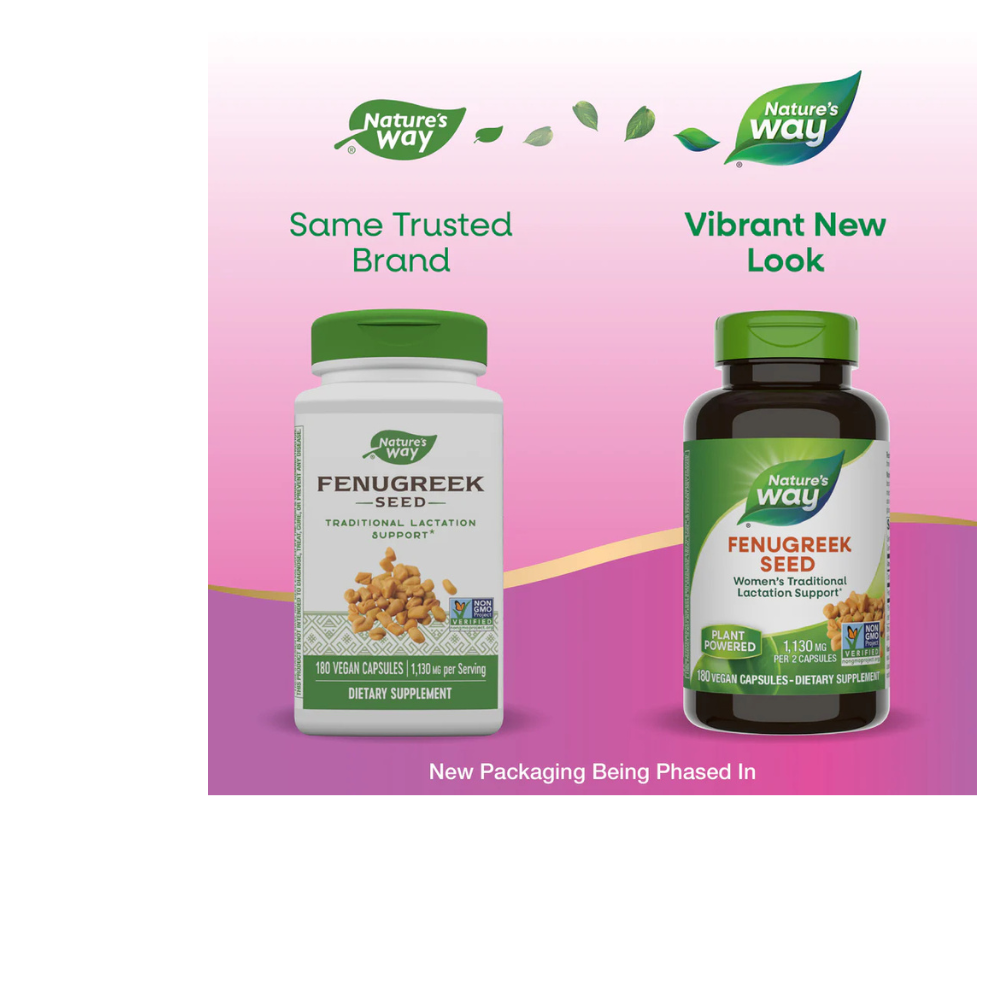 Fenugreek Seed