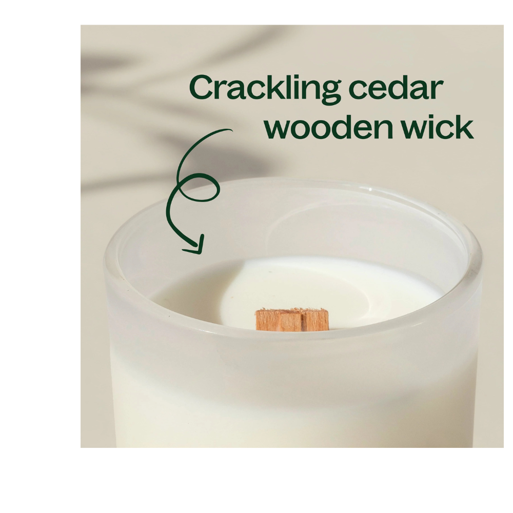 VANILLA AMBER NATURALLY SCENTED CANDLE