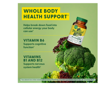 Thumbnail for Balanced B Complex
