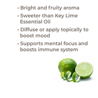 Thumbnail for PERSIAN LIME ESSENTIAL OIL