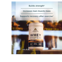 Thumbnail for WHEY PROTEIN