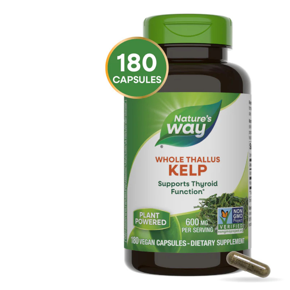 Kelp
