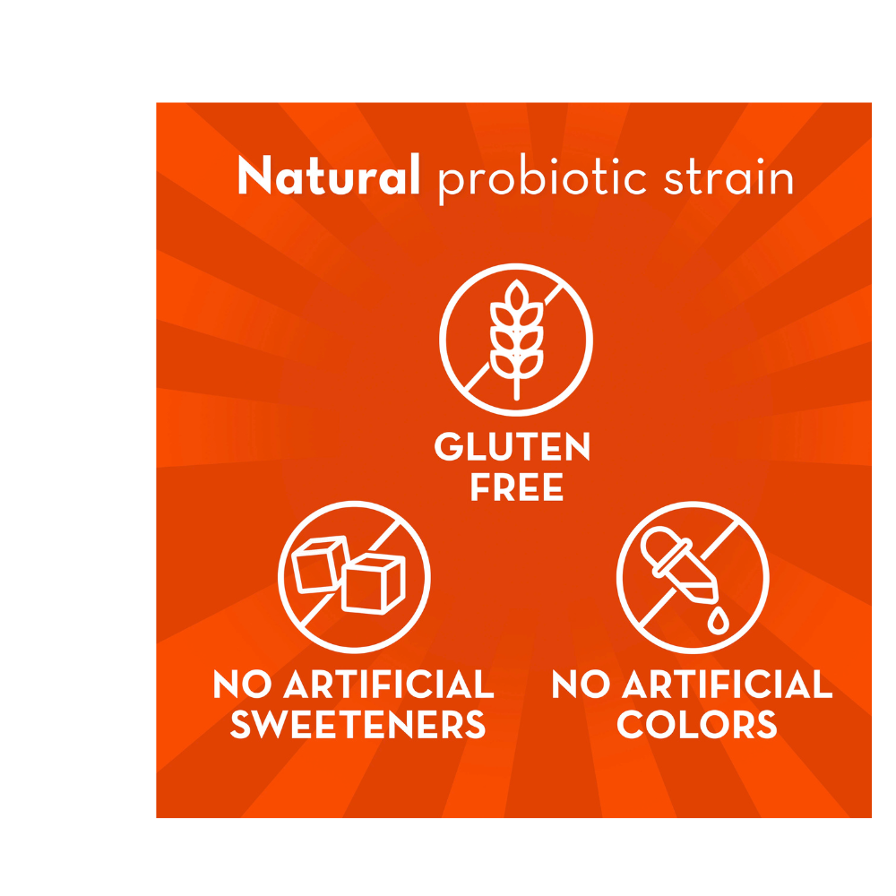Align Probiotic Chewables for Adults Supplement