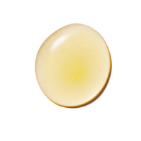 Thumbnail for Rosehip Oil Antioxidant+