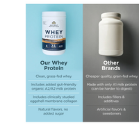 Thumbnail for WHEY PROTEIN