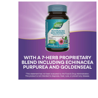 Thumbnail for Echinacea Goldenseal Premium Blend
