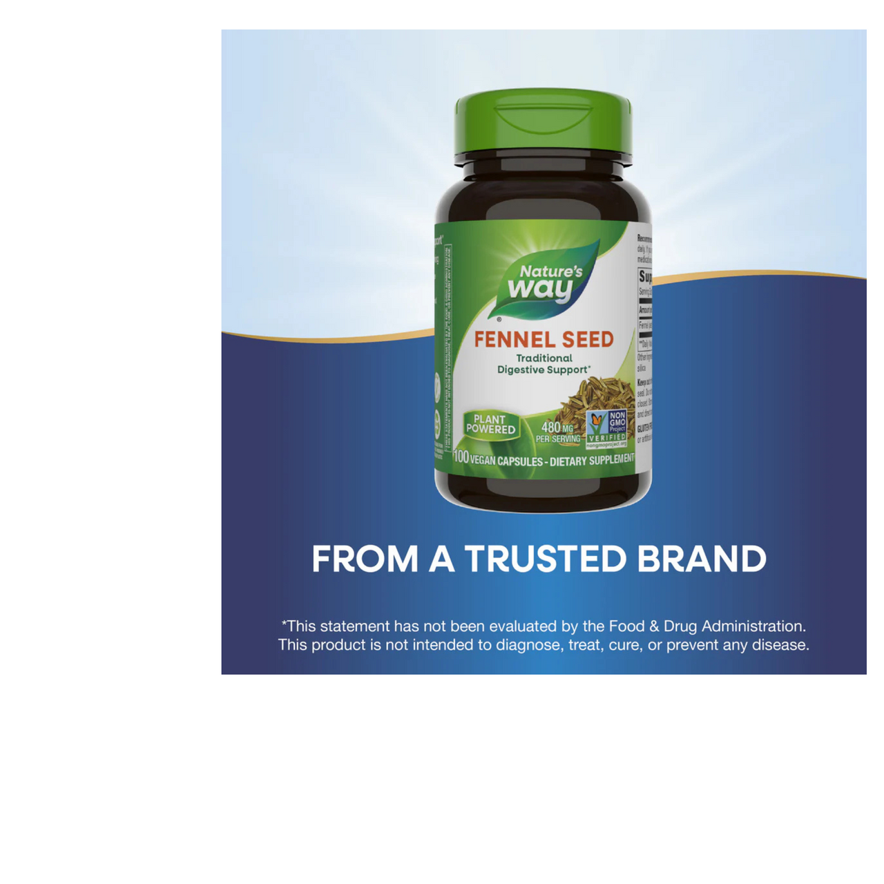 Fennel Seed