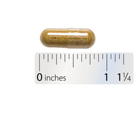 Thumbnail for Echinacea Goldenseal Premium Blend