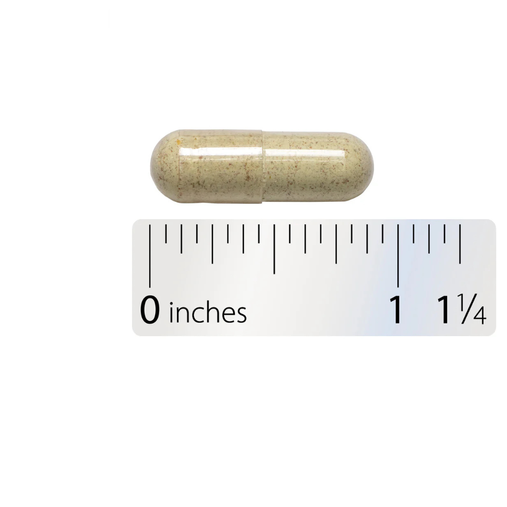 Fenugreek Seed