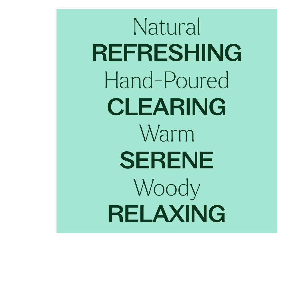 BALSAM NOIR NATURALLY SCENTED CANDLE
