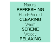 Thumbnail for BALSAM NOIR NATURALLY SCENTED CANDLE