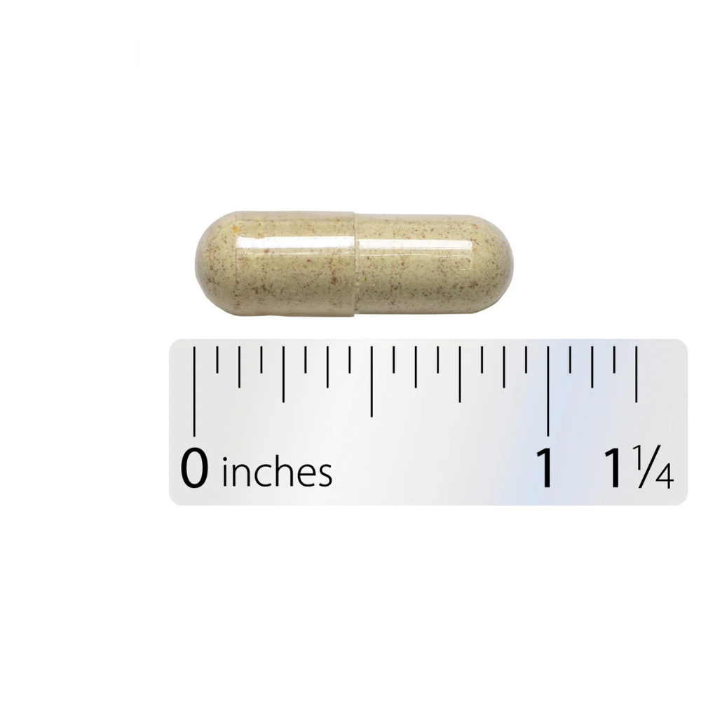 Fenugreek Seed