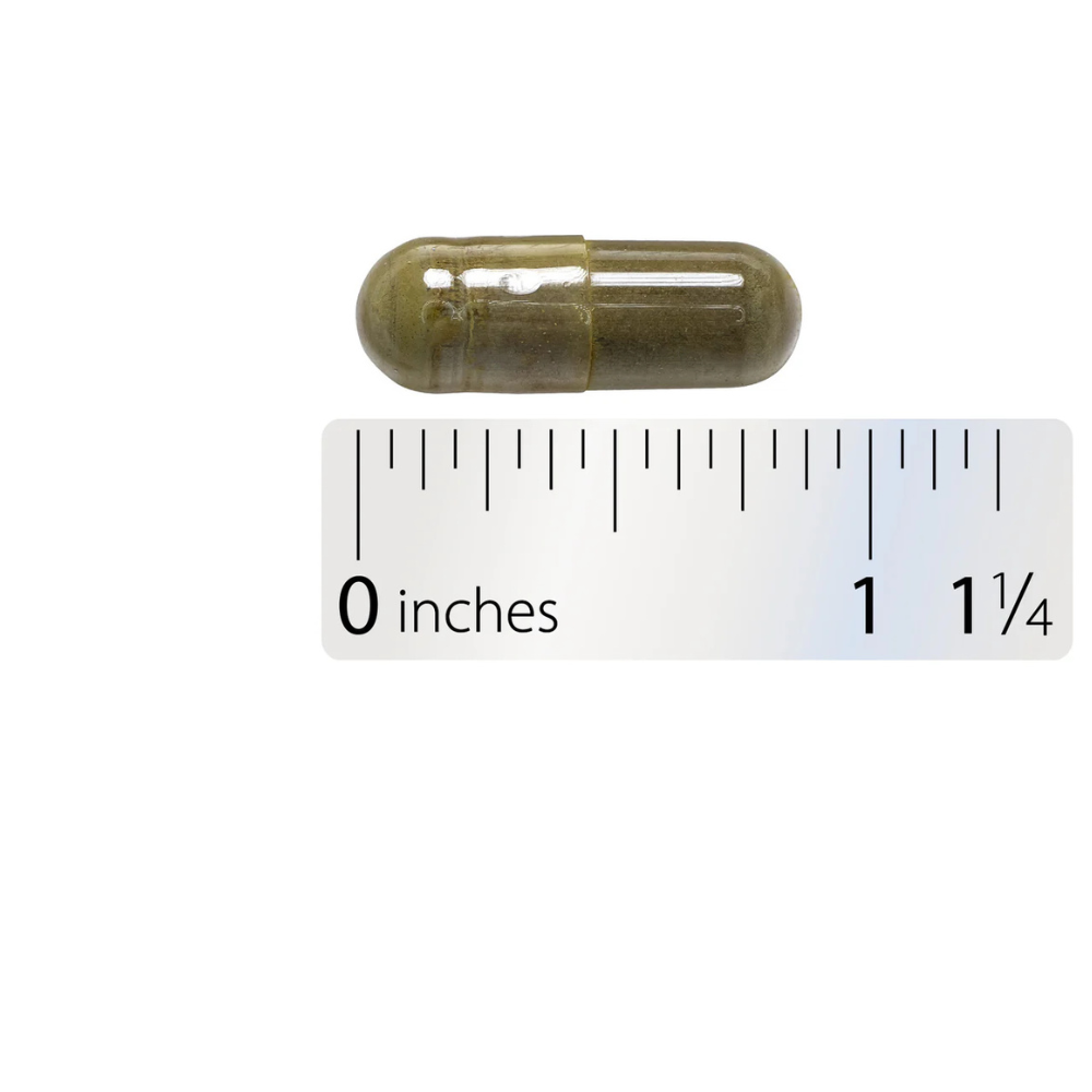 Gymnema Premium Extract