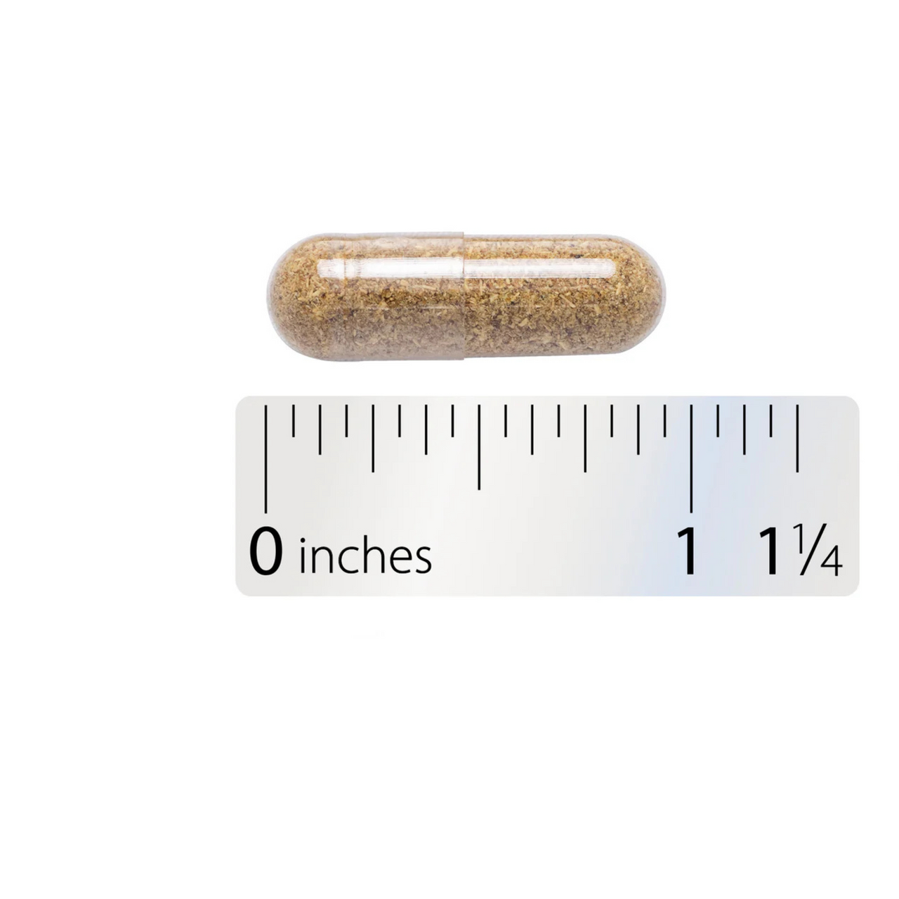 Fennel Seed
