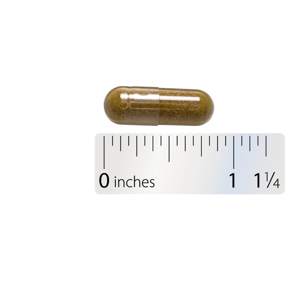 Echinacea Goldenseal Premium Blend