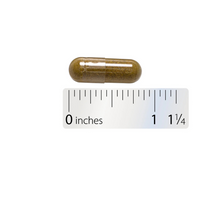 Thumbnail for Echinacea Goldenseal Premium Blend