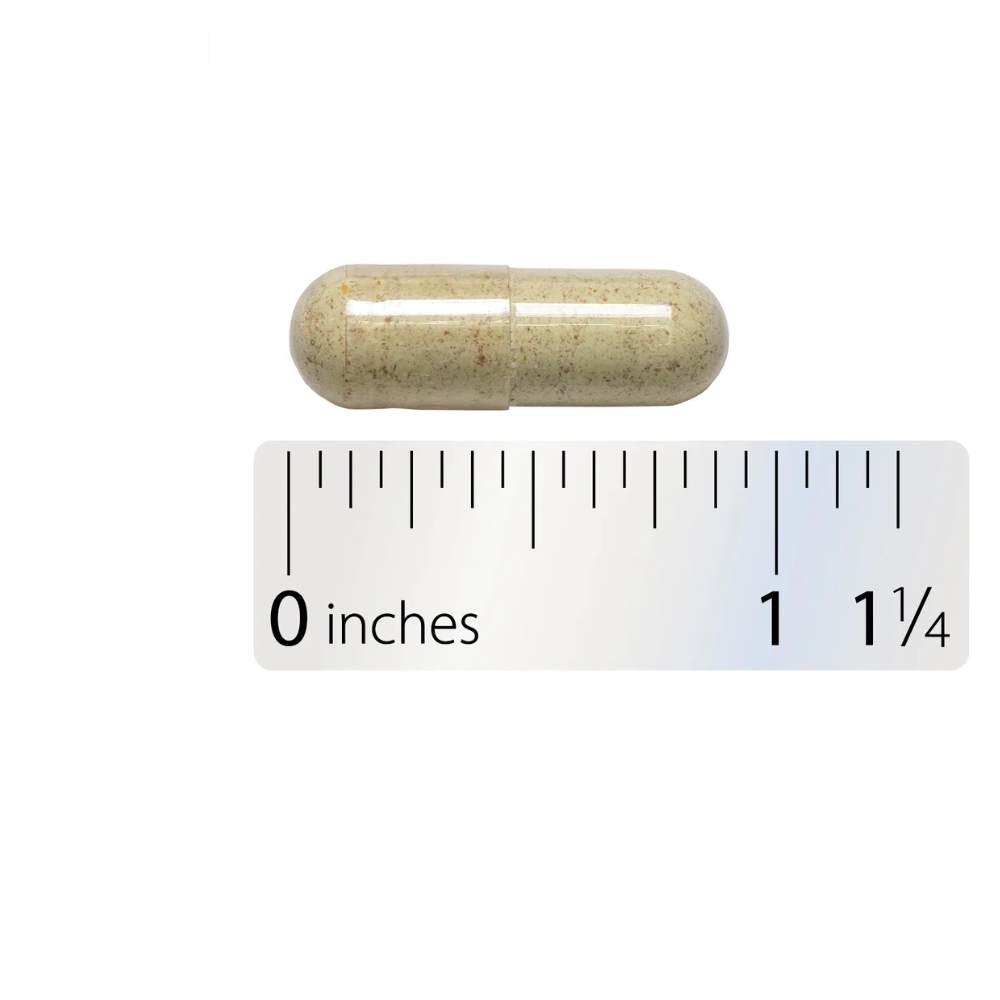 Fenugreek Seed