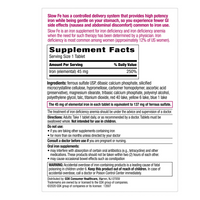 Thumbnail for Slow Fe Slow Release Iron Supplement