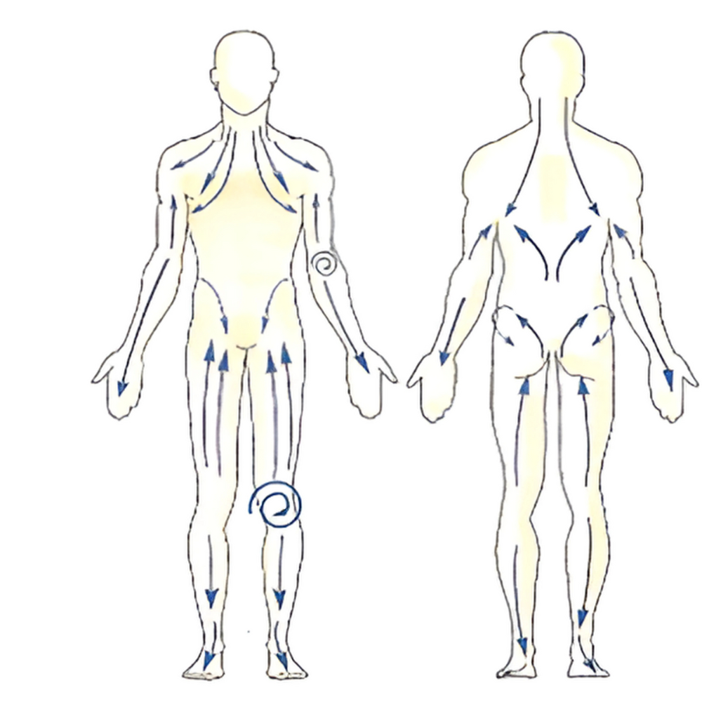 STEP 1: DETOX / BODY BRUSH