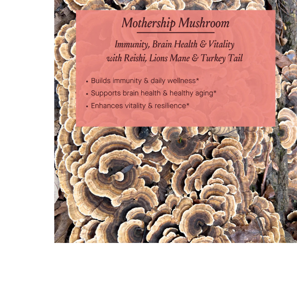Mothership Mushroom