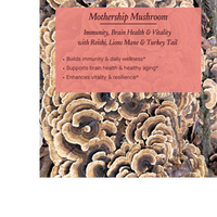 Thumbnail for Mothership Mushroom