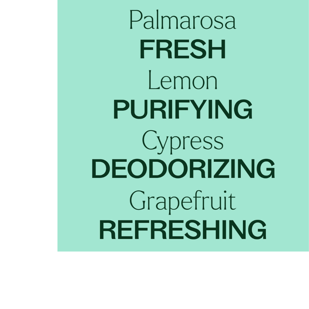 DEODORIZING POWDER