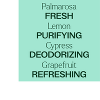 Thumbnail for DEODORIZING POWDER