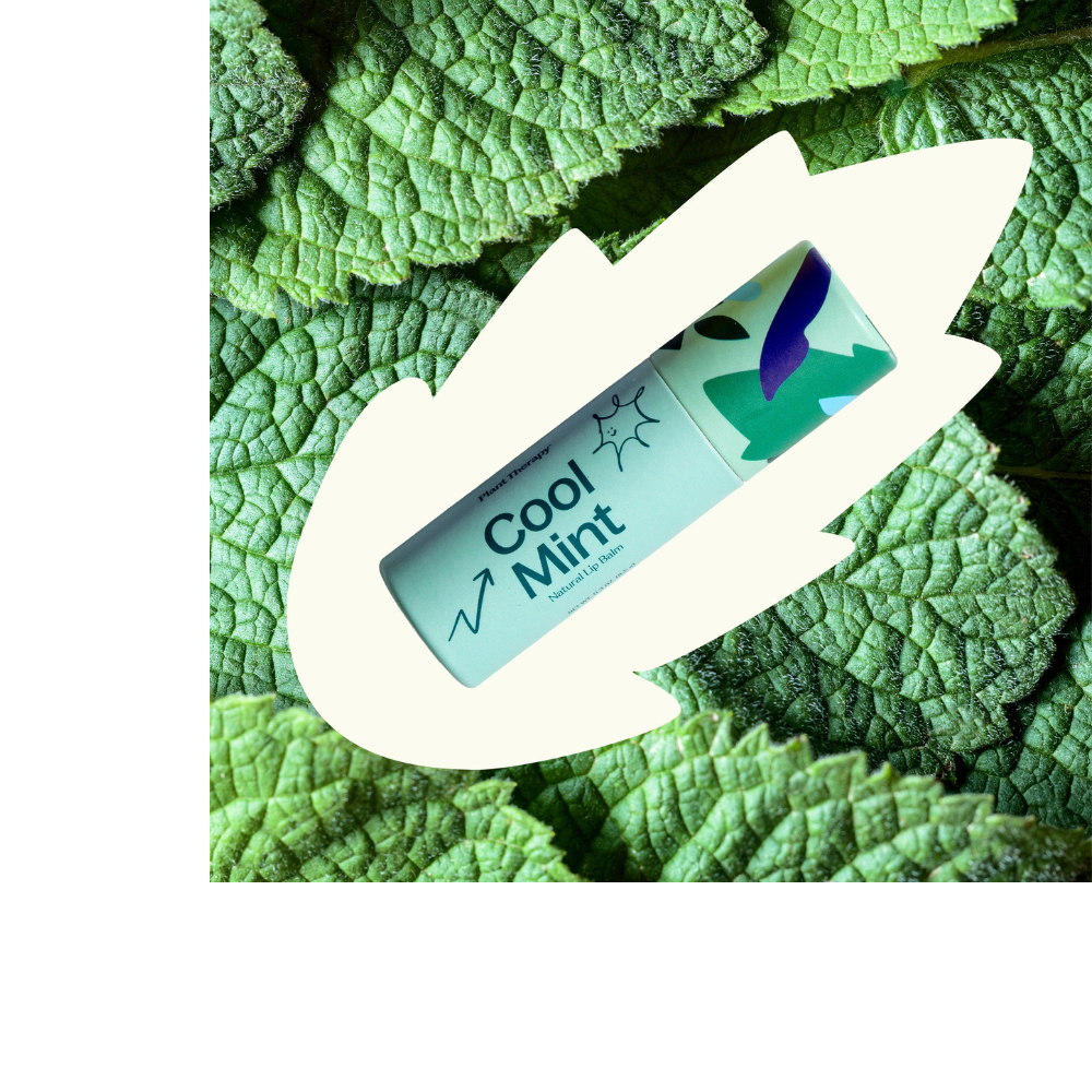 COOL MINT NATURAL LIP BALM