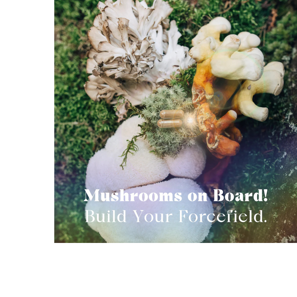 Mothership Mushroom