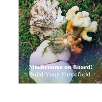 Thumbnail for Mothership Mushroom