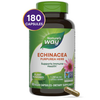 Thumbnail for Echinacea