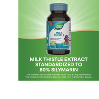 Thumbnail for Milk Thistle