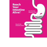 Thumbnail for Dr. Formulated Probiotics Once Daily Women's Shelf-Stable