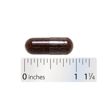 Thumbnail for Schisandra Fruit