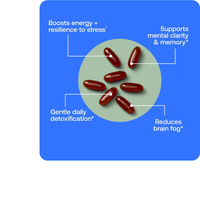 Thumbnail for BodyBio PC (Phospholipid Complex)
