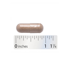 Thumbnail for Slippery Elm Bark