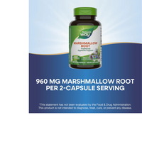 Thumbnail for Marshmallow Root